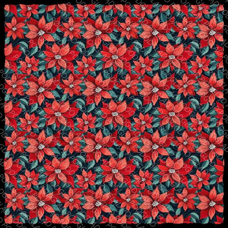 Poinsettia